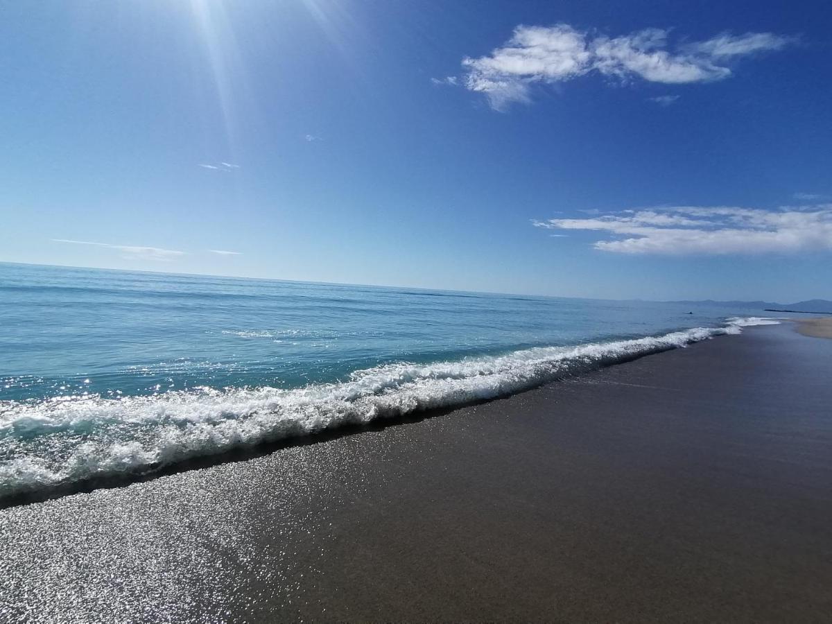 Apartament Escale Au Sud, Un Appart Les Pieds Dans L Eau :) Le Barcarès Zewnętrze zdjęcie